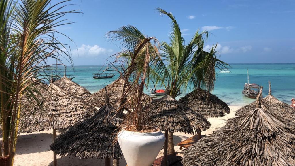 Sunseabar Beach Hotel Kendwa Eksteriør billede